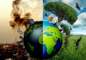 Planting trees to save wildlife | Save Trees