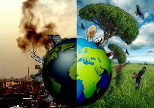 Planting trees to save wildlife | Save Trees Planting trees to save wildlife | Save Trees